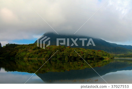 Reflection of Gregory lake in Nuwara Eliya in fog 37027553