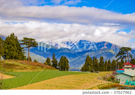 台灣,Fukusu山,Mt。 台灣,Fukusu山,Mt。 37027962