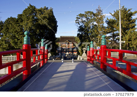 Okazaki City Iga Hachimangu Shrine 37027979