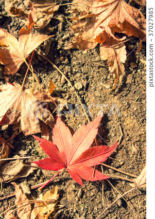 台灣，Fukusu山，松山，Mio 37027985