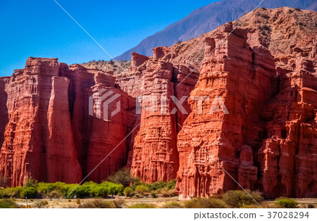 Giants of Quebrada de Cafayate 37028294
