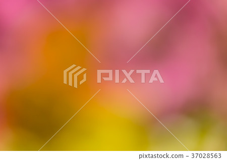 Defocused abstract colorful background Defocused abstract colorful background 37028563