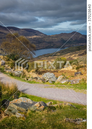 Killarney National Park landscape 37028640