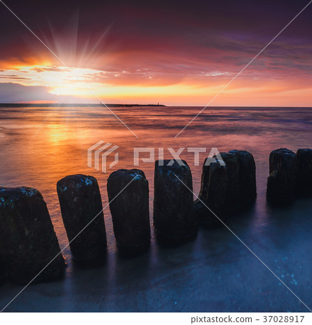 Sunset on the beach with a wooden breakwater 37028917