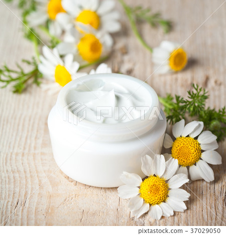 container with cream and chamomiles 37029050