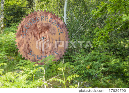 Sign of the Glenborrodale sawmill 37029790