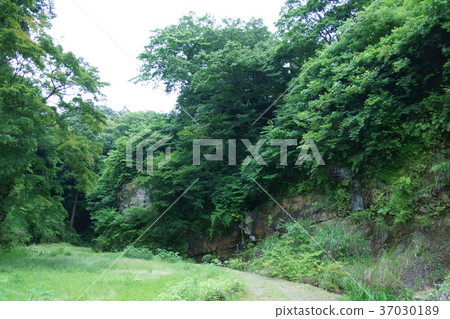 鎌倉里山路 鎌倉里山路 37030189