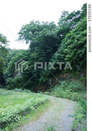 鎌倉里山路 鎌倉里山路 37030190