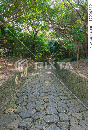 Shikinaen Shuri Naha Shikinaen Shuri Naha 37030240