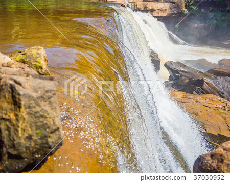 Beautiful waterfall in green forest in jungle Beautiful waterfall in green forest in jungle 37030952