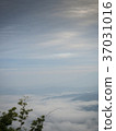 Beautiful cloudy weather in mountains 37031016