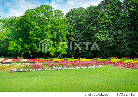 Summer park with beautiful flower beds. Summer park with beautiful flower beds. 37031410