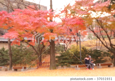 blurred people spring korea 37031931