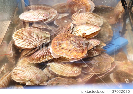 cheese scallop street food korea 37032020