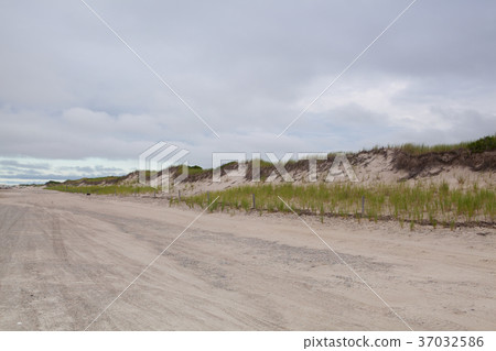 Sunset in the sand dunes beach 37032586
