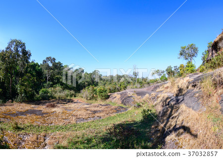 nature trail in Phu Hin Rong Kla National Park 37032857