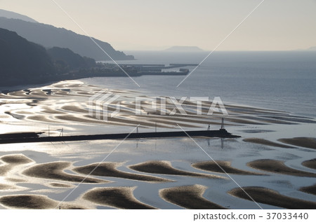 Ogori Coast in winter Kumamoto 37033440
