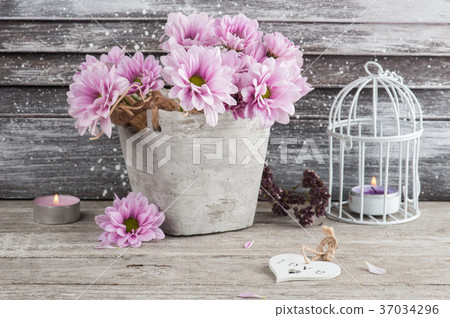 Pink chrysanthemum in concrete pot with candles Pink chrysanthemum in concrete pot with candles 37034296