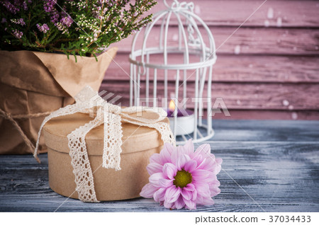 Pink heather in pot, gift box with lace bow 37034433