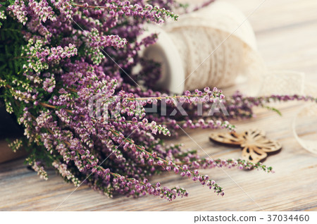 Pink heather, purple candle pot, butterfly 37034460