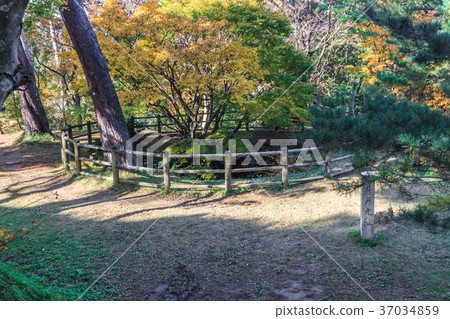 Kasugayama城堡井號的風景在秋天 37034859