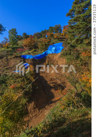 秋天Kasugayama城堡風景 秋天Kasugayama城堡風景 37035119