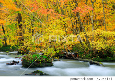 青森的Oorise山小河_秋葉 37035151