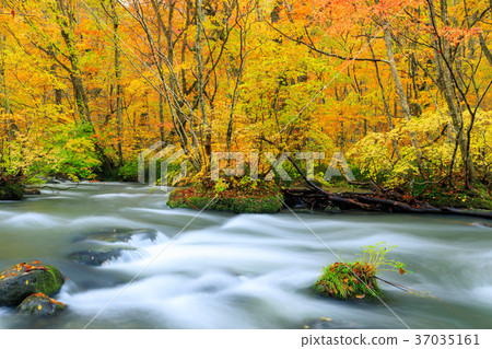 青森的Oorise山小河_秋葉 37035161