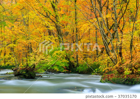 青森的Oorise山小河_秋葉 37035170
