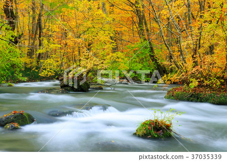 青森的Oorise山小河_秋葉 37035339