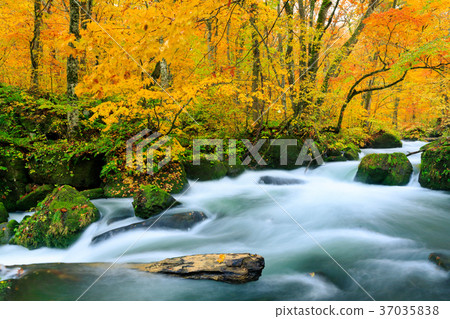 Oirase山流_秋季葉子Asura流程 37035838