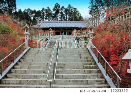 Emeishan Kannon Temple Hyakukannon Hall (Fukuoka Prefecture) with colored leaves Emeishan Kannon Temple Hyakukannon Hall (Fukuoka Prefecture) with colored leaves 37035855
