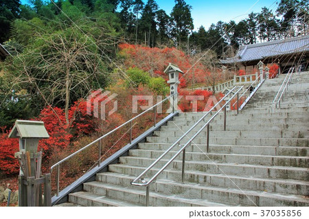 Emeishan Kannon Temple Hyakukannon Hall (Fukuoka Prefecture) with colored leaves Emeishan Kannon Temple Hyakukannon Hall (Fukuoka Prefecture) with colored leaves 37035856