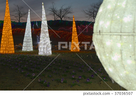 Christmas illumination Sunset and Bami hill park Nara Prefecture 37036507