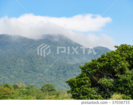 Sunny Yangmingshan Sunny Yangmingshan 37036735