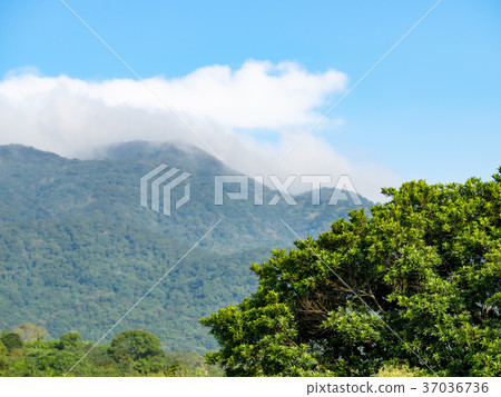 Sunny Yangmingshan Sunny Yangmingshan 37036736