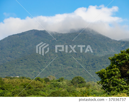 Sunny Yangmingshan Sunny Yangmingshan 37036737