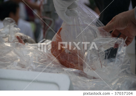 Umeda morning market 37037104