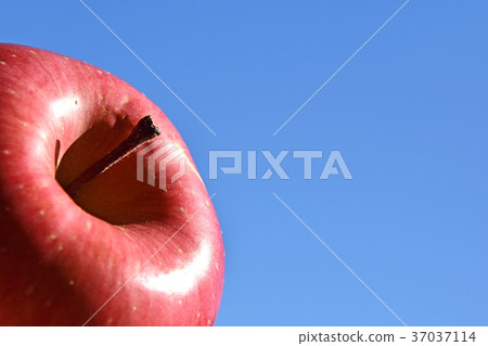 蘋果（孫富士） 37037114