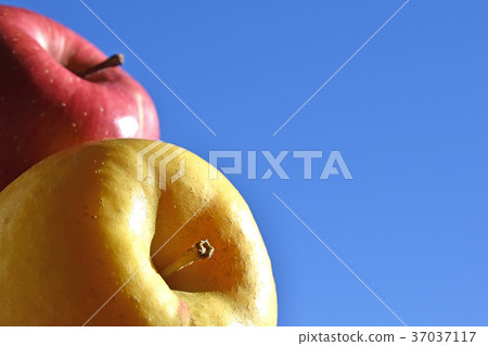 Apple (golden Fuji, San Fuji) 37037117