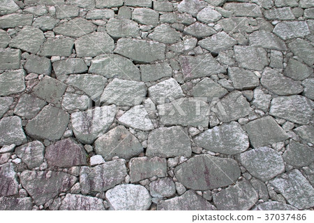 Ishigaki of Matsuyama castle 37037486