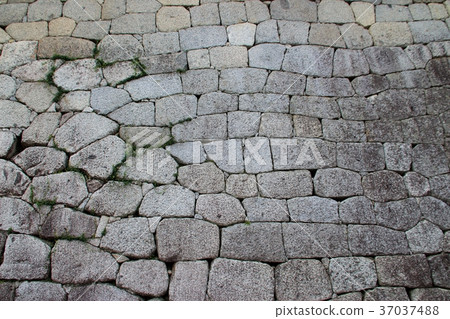 Ishigaki of Matsuyama castle 37037488