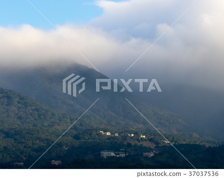 薄霧下的大屯山 薄霧下的大屯山 37037536