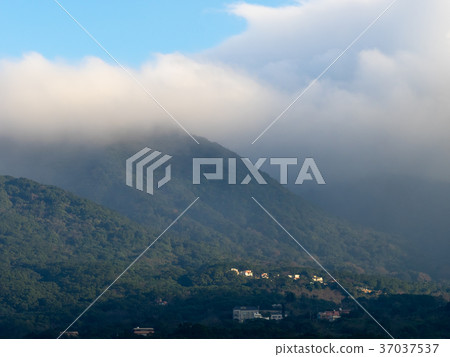 薄霧下的大屯山 薄霧下的大屯山 37037537