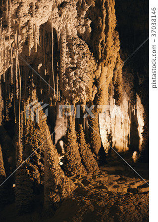 Marakoopa Cave in Mayberry, Mole Creek, Tasmania. 37038146