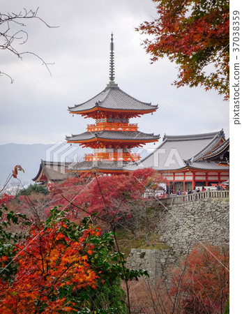 Kiyomizu-dera Temple in Kyoto, Japan Kiyomizu-dera Temple in Kyoto, Japan 37038359