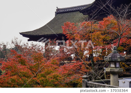 Kiyomizu-dera Temple in Kyoto, Japan Kiyomizu-dera Temple in Kyoto, Japan 37038364