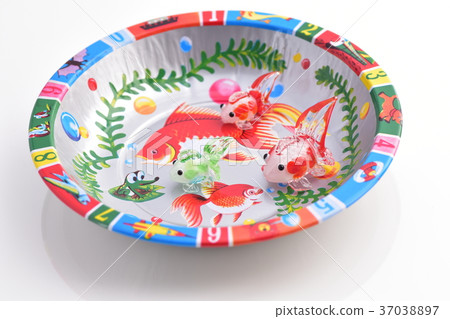 杯金魚 37038897
