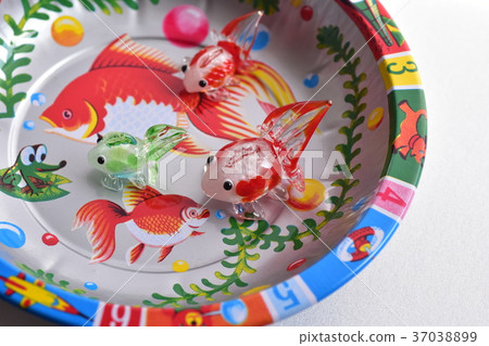 Glass of goldfish Glass of goldfish 37038899