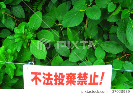 Landscape with indication of illegal dumping prohibition 37038989